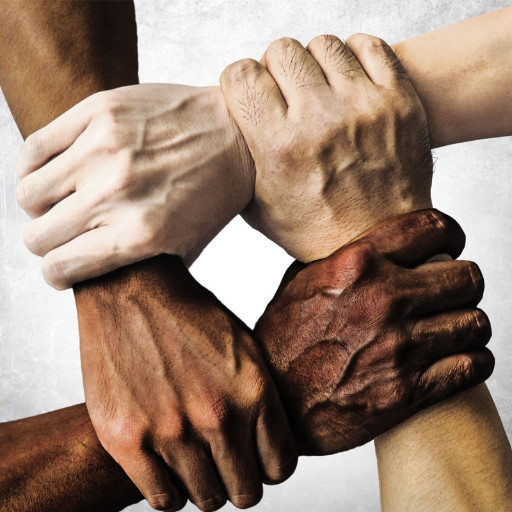 Imagem ilustrativa do curso de Estatuto da Igualdade Racial - Lei 12.288